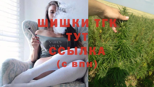 PSILOCYBIN Баксан