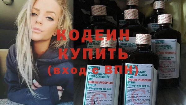 винт Пересвет