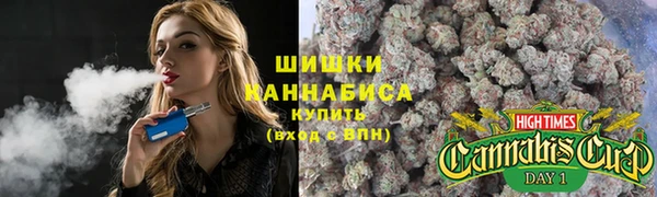 PSILOCYBIN Баксан