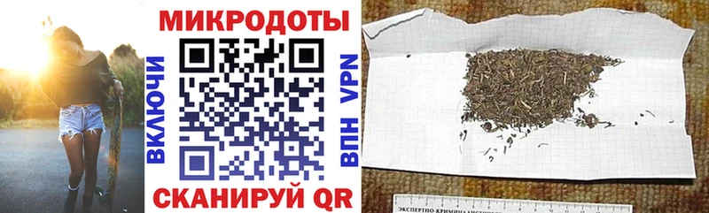 купить наркотики сайты  кракен как войти  Галлюциногенные грибы ЛСД  Северобайкальск 